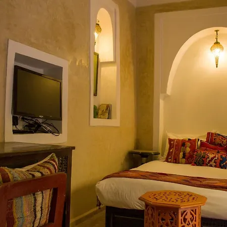 Riad Dar Habiba By Garden Wonders-2